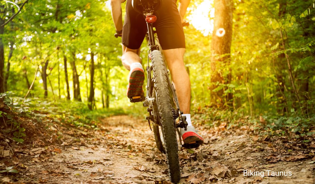 Biker riding through the forest in the Taunus near Wiesbaden Army Base