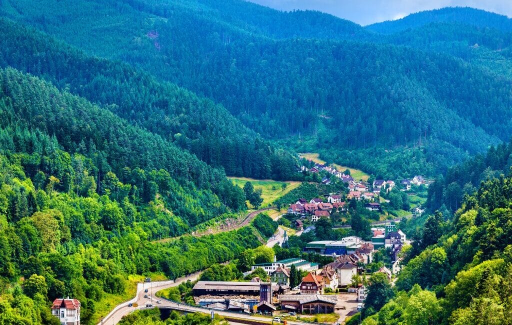 Dense woodlands and rolling hills of the Black Forest