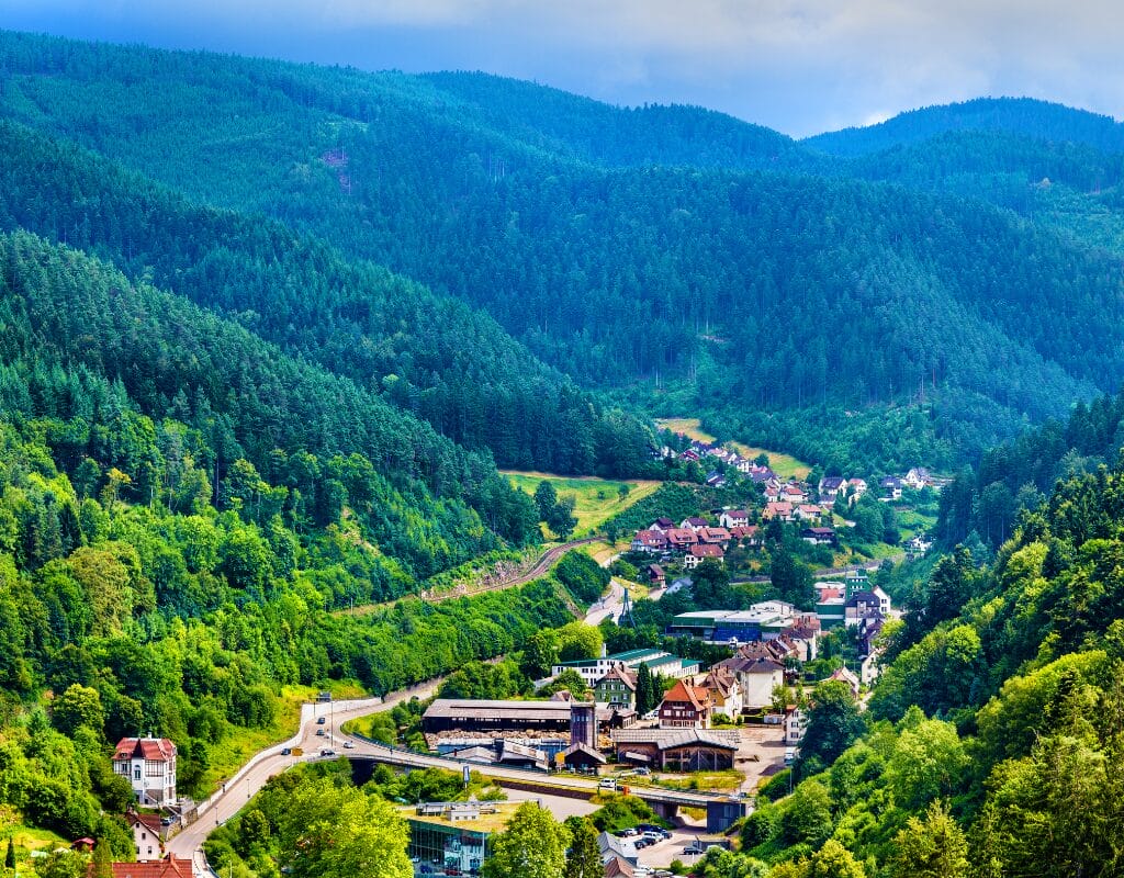 Dense woodlands and rolling hills of the Black Forest