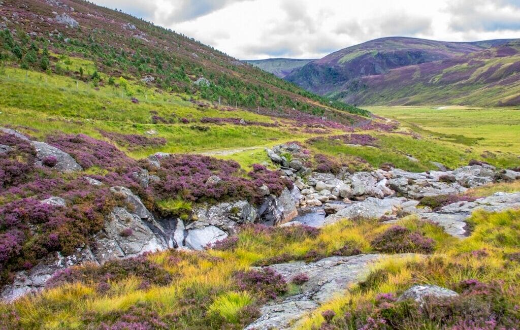 Scenic view of Cairngorms National Park with mountains, forests, and rivers.