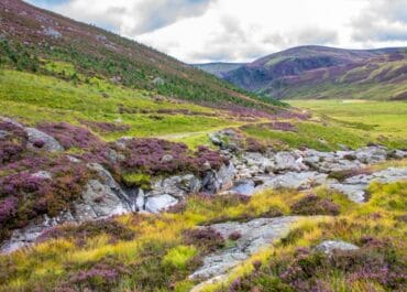 Cairngorms National Park