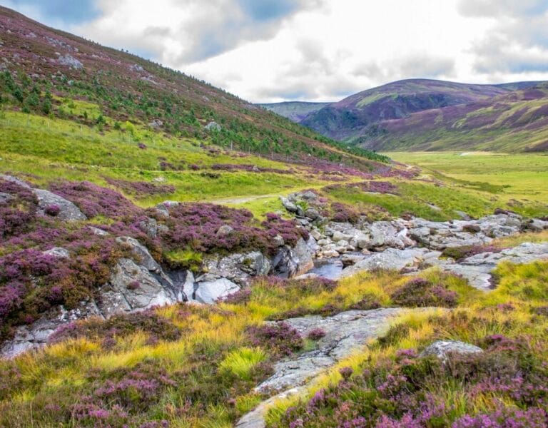 Scenic view of Cairngorms National Park with mountains, forests, and rivers.