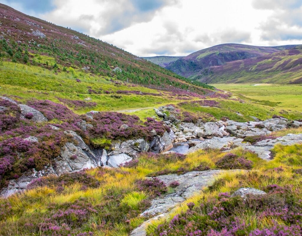 Scenic view of Cairngorms National Park with mountains, forests, and rivers.