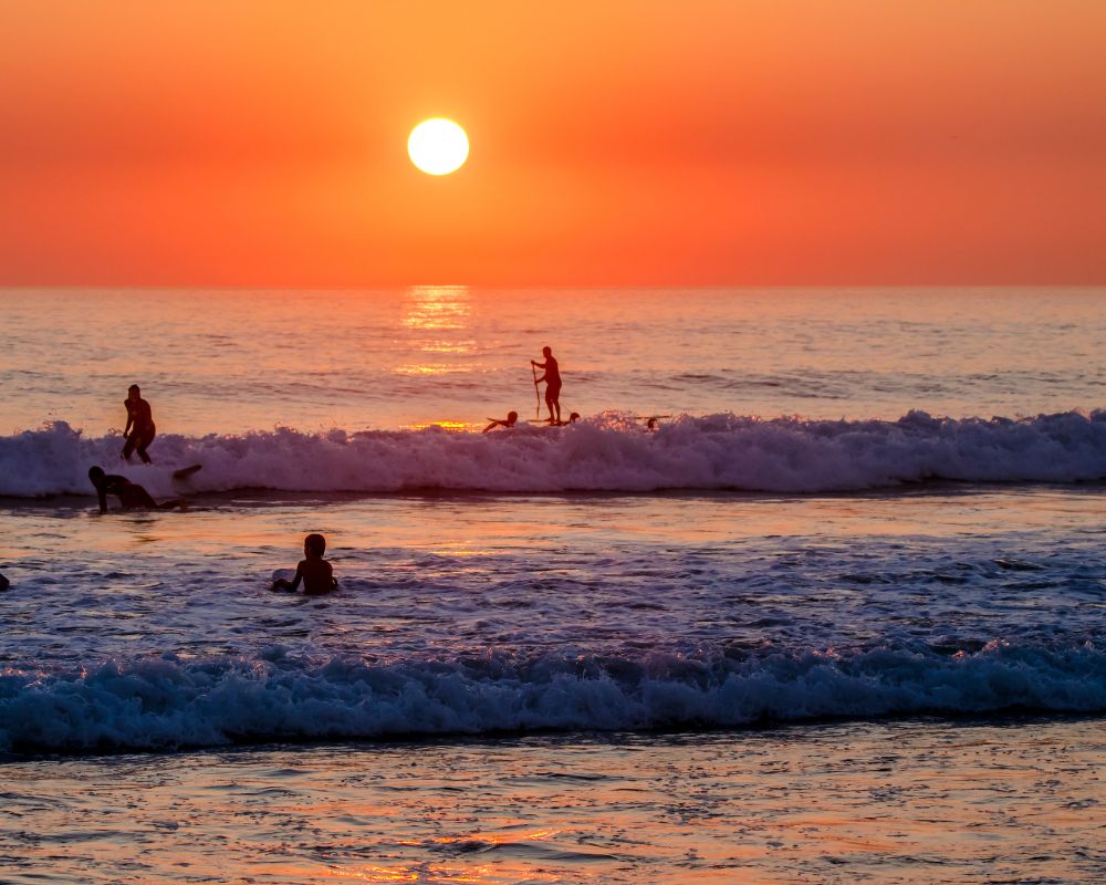 Surfers in the water during sunset