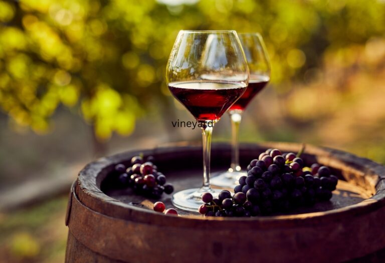 Wine barrel with two glasses of red wine and grapes, symbolizing a river cruise in France.