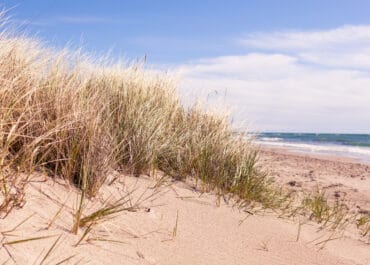 Gotland Beaches