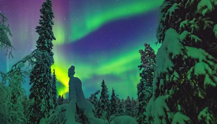 The Northern Lights in Swedish Lapland offer a breathtaking natural spectacle, making it a must-see destination in winter.