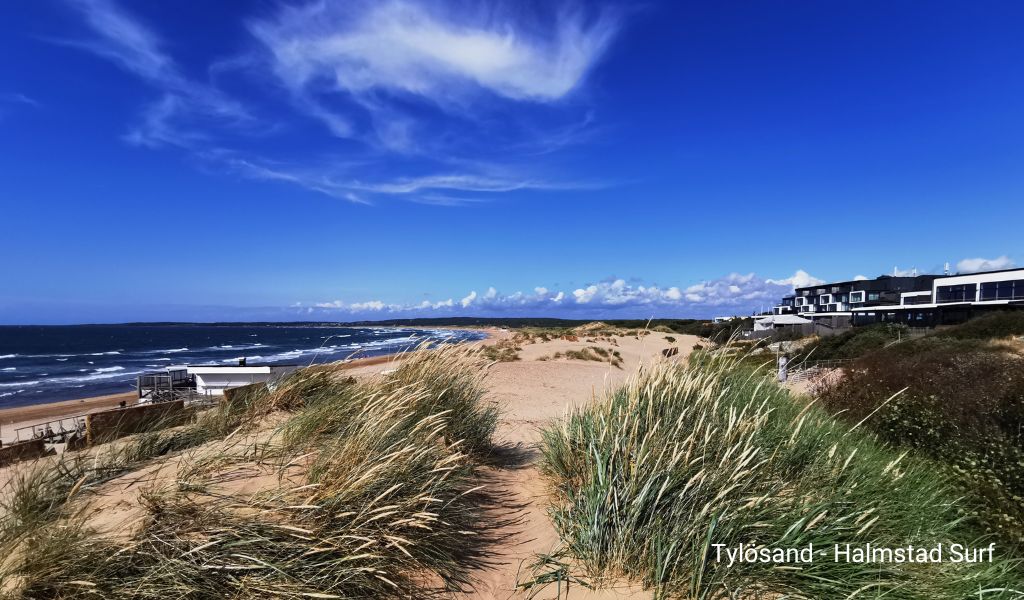 Blue sky, wavy sea, and sandy dunes at Tylösand Beach