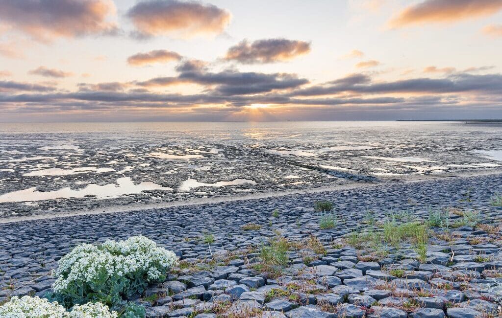 Wadden Sea at sunset with receded waters