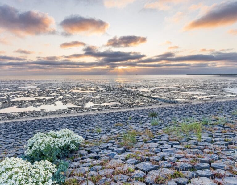 Wadden Sea, Netherlands 1024 x 800
