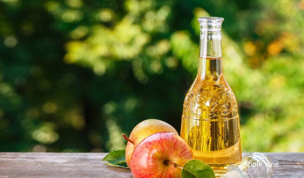 Carafe of apple wine with apples