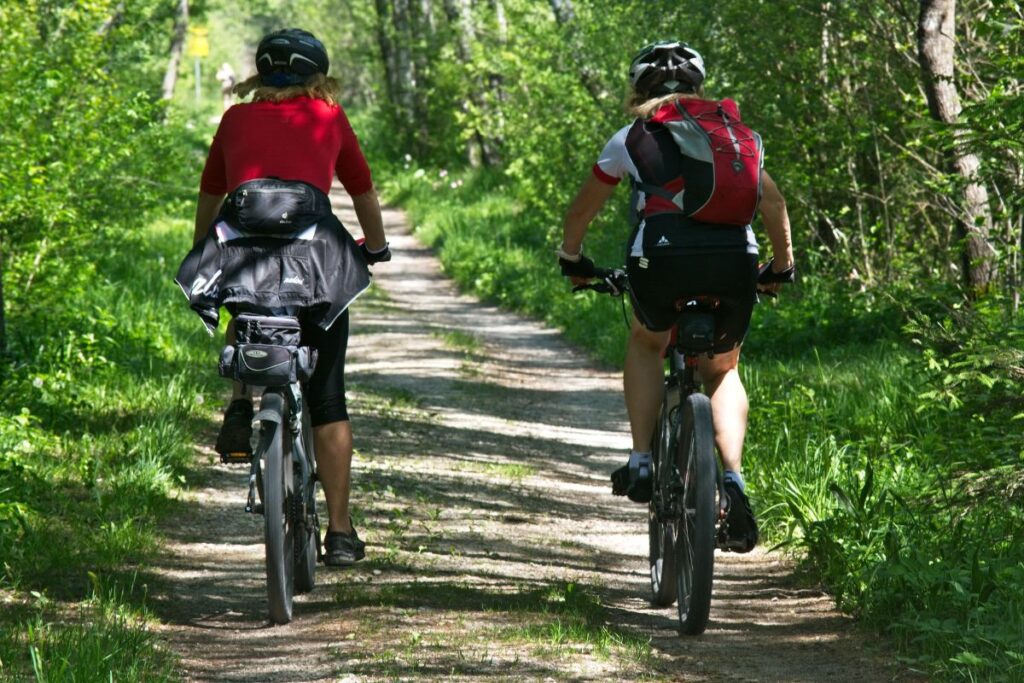 Two cyclists riding through a scenic forest in Belgium.