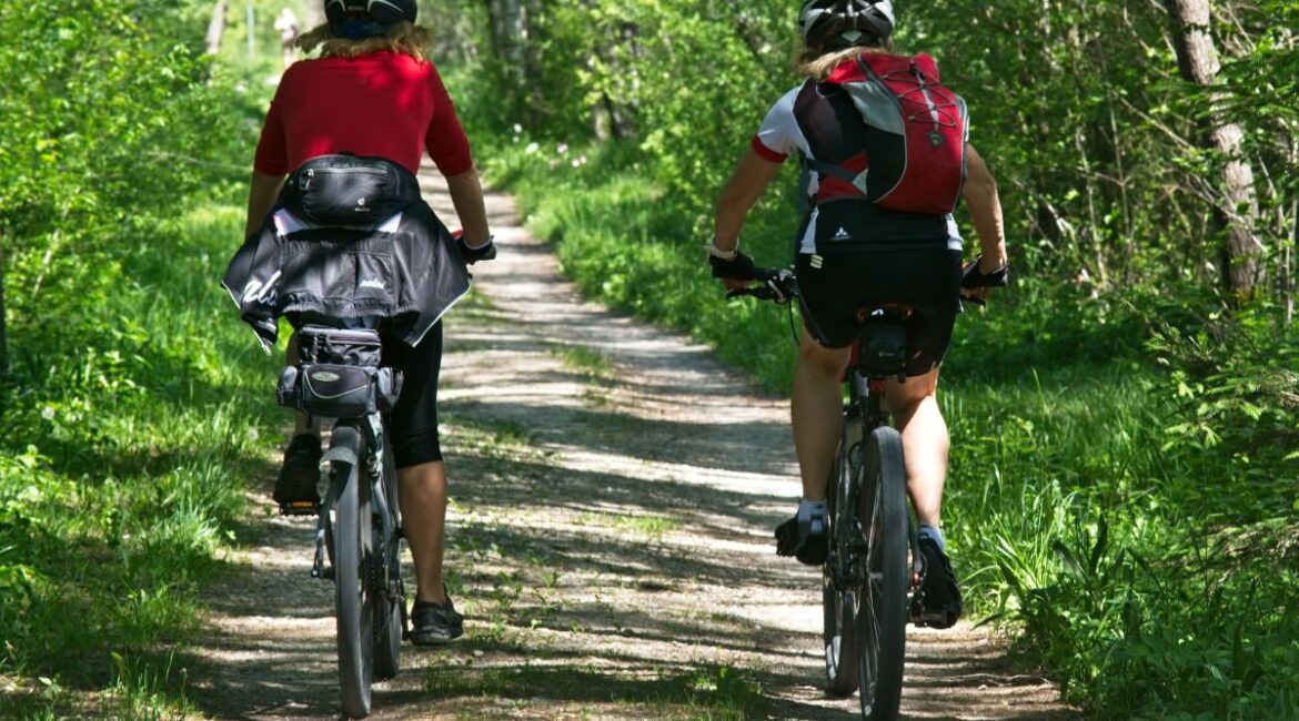 Two cyclists riding through a scenic forest in Belgium.