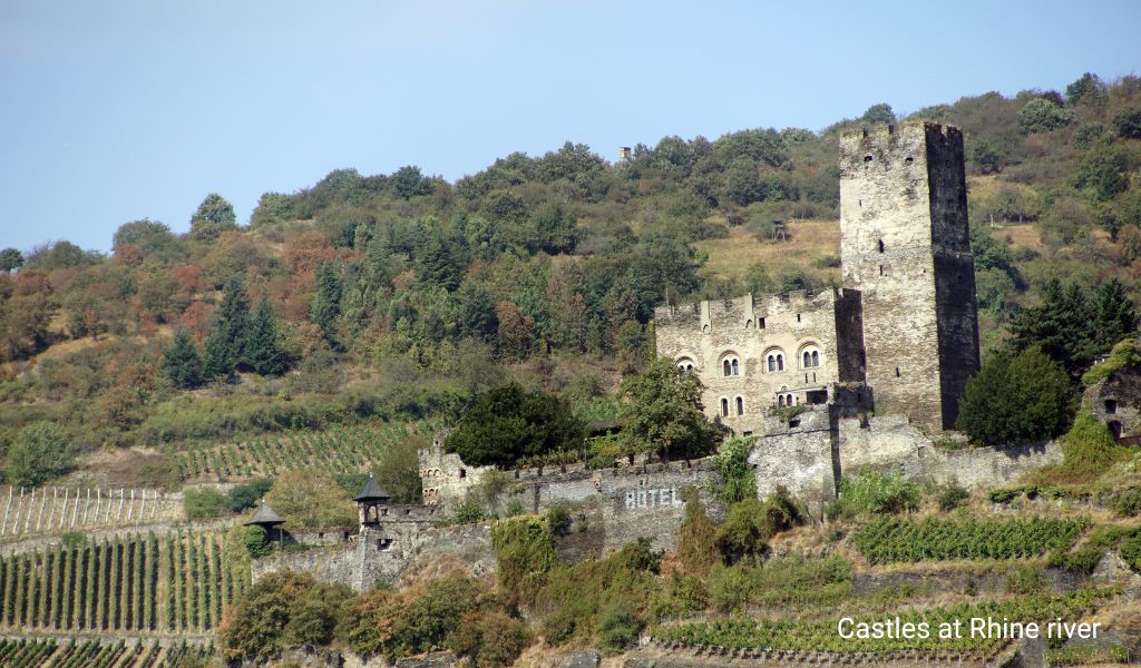 A castle perched above the Rhine River