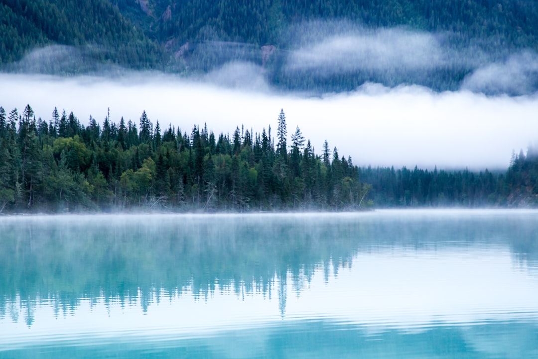 Winter lake with a forest in the background, showcasing the scenic beauty of Zell am See, Austria’s winter wonderland.