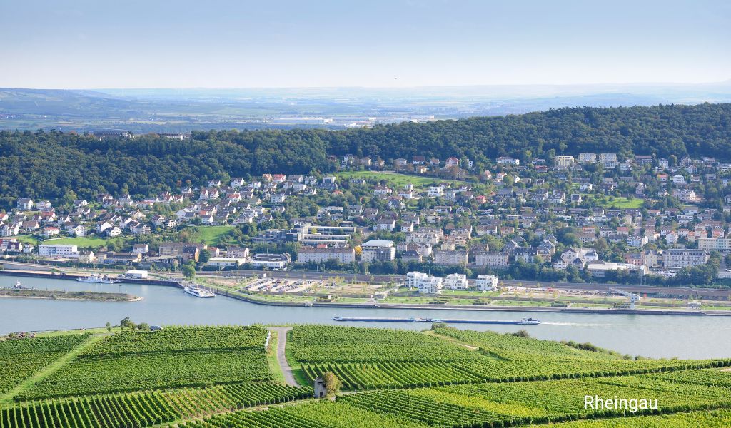 View of Bingen from the Rheingau side with the Rhine and vineyards